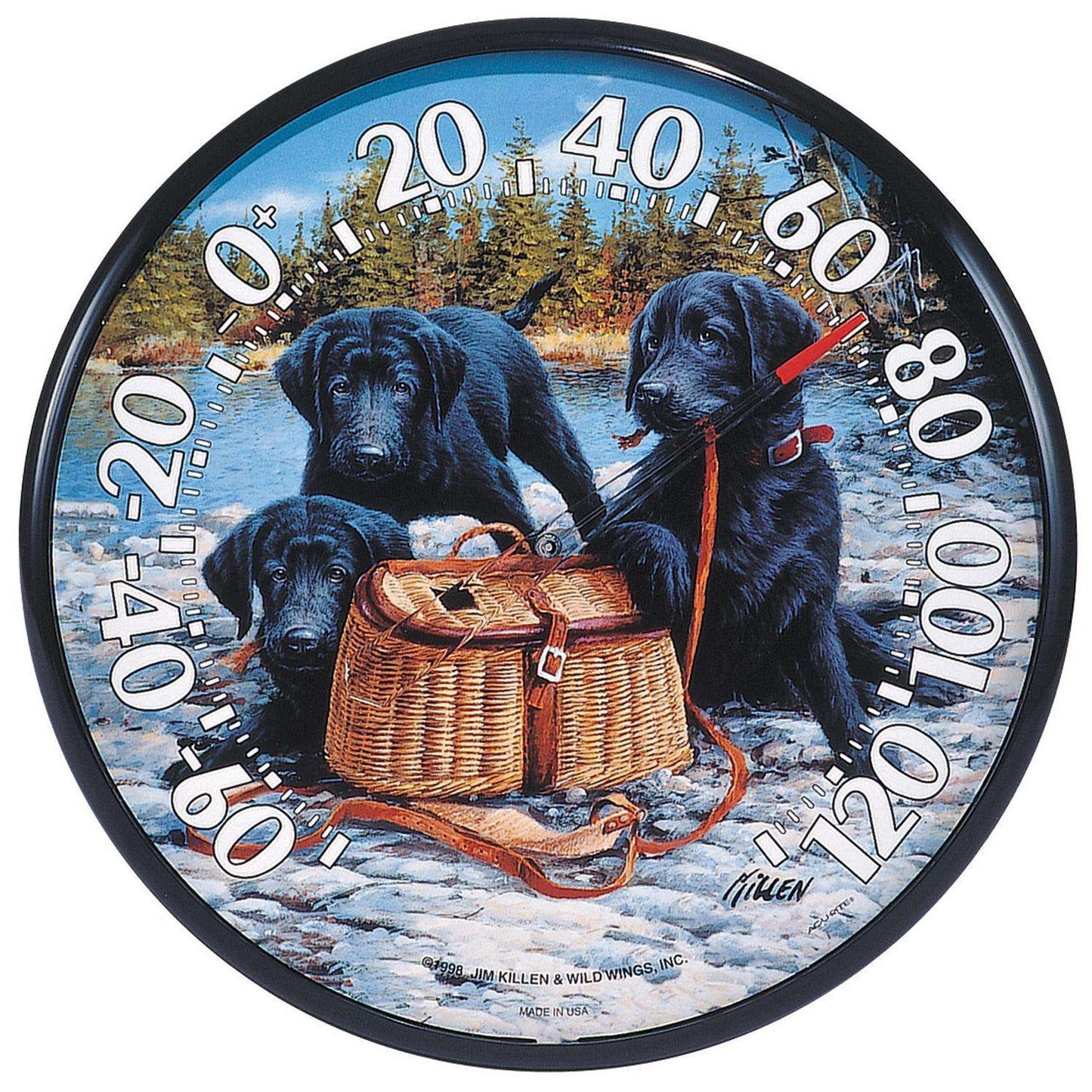 AcuRite Lab Puppies Dial Thermometer Plastic Multicolored 12.5 In.