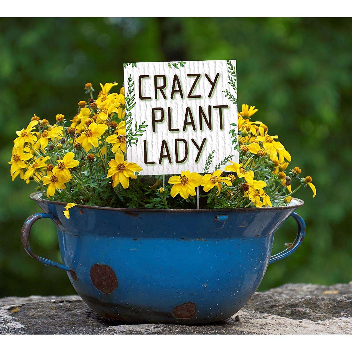My Word! Multicolored Wood 4 In. H Crazy Plant Lady Plant Pokes