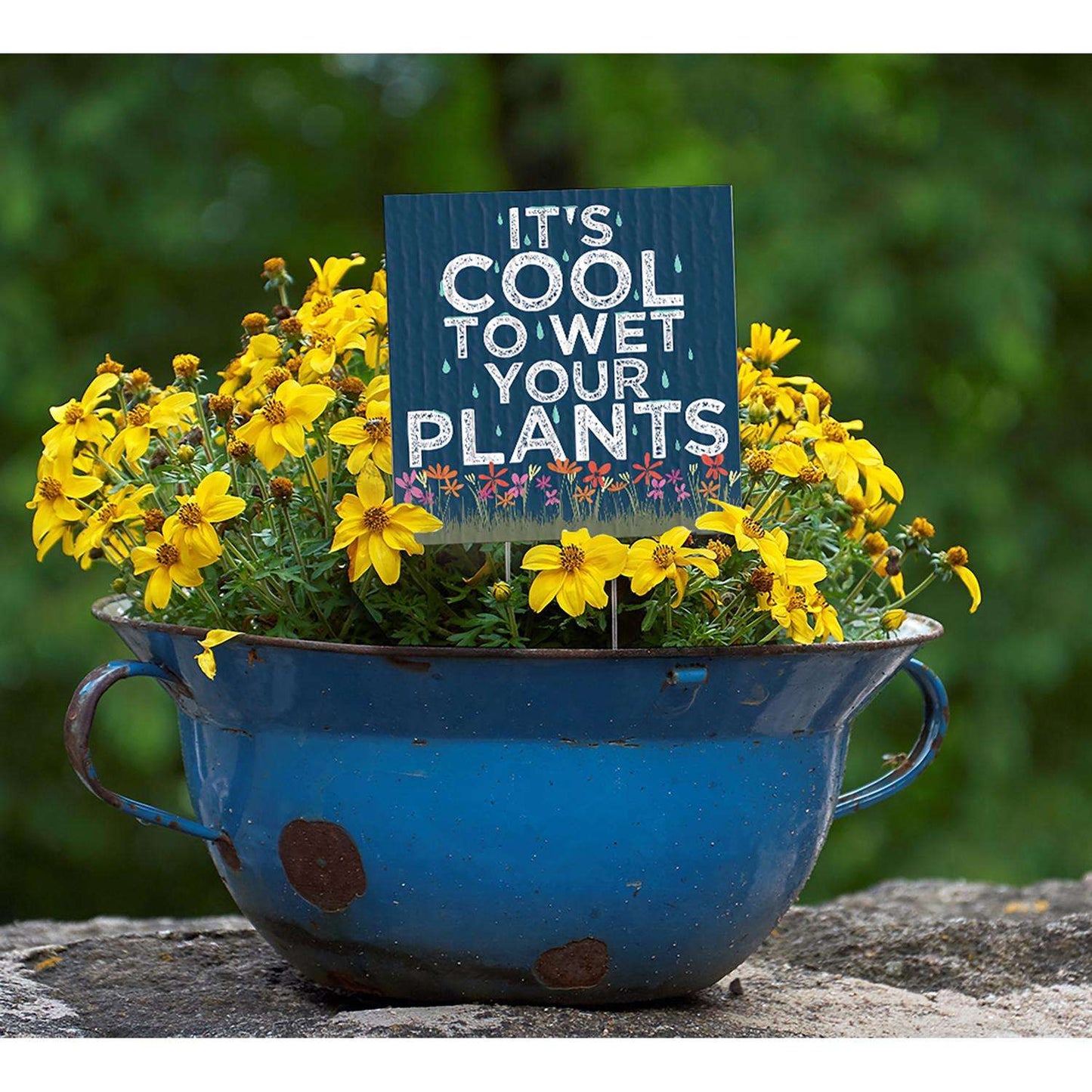 My Word! Multicolored Wood 4 In. H It's Cool To Wet Your Plants Plant Pokes