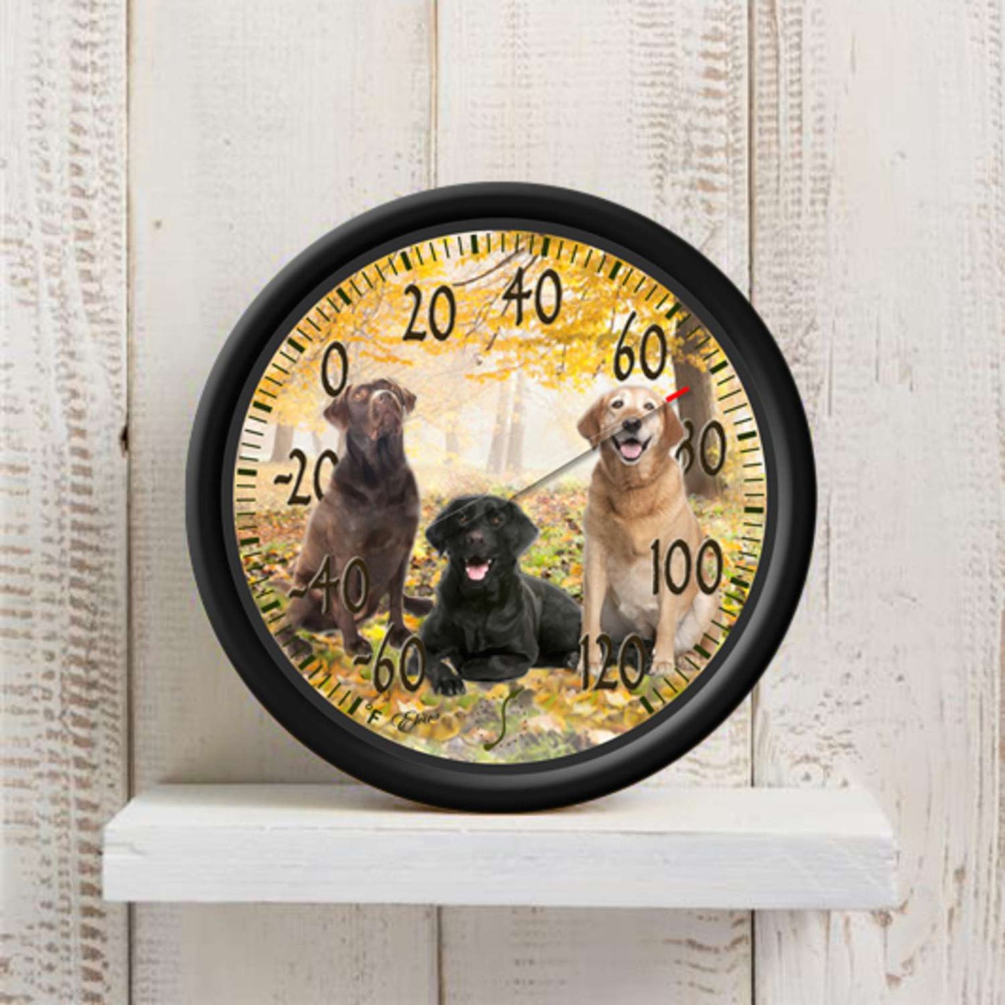 Taylor Dogs Design Dial Thermometer Plastic Multicolored 13.25 In.