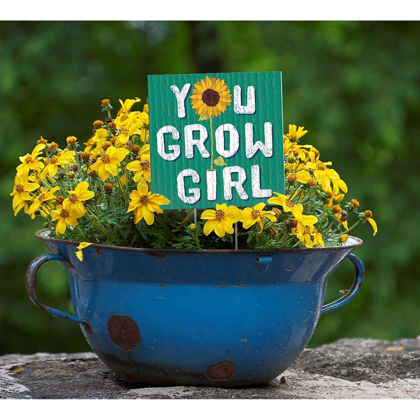 My Word! Multicolored Wood 4 In. H You Grow Girl Plant Pokes
