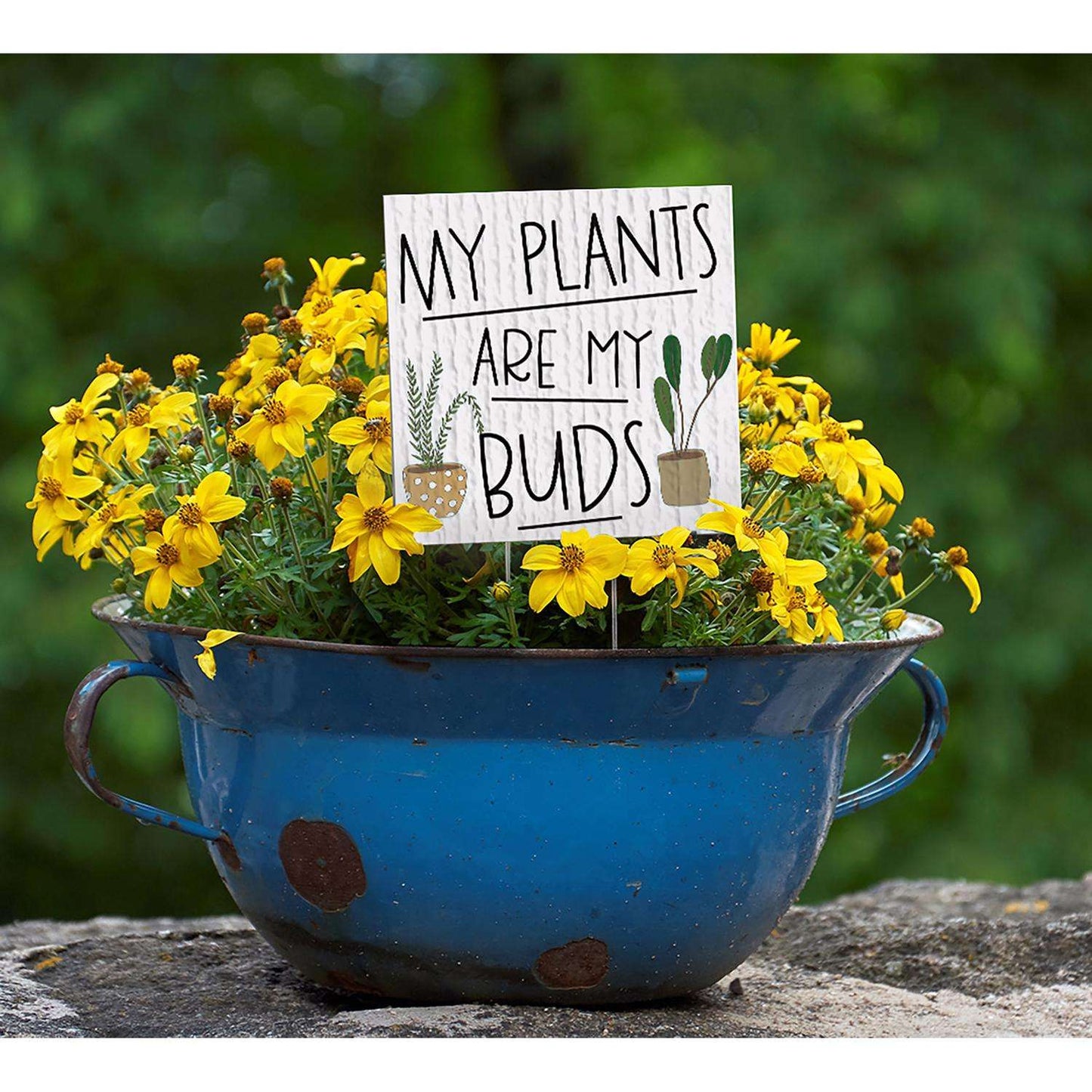 My Word! Multicolored Wood 4 In. H My Plants Are My Buds Plant Pokes