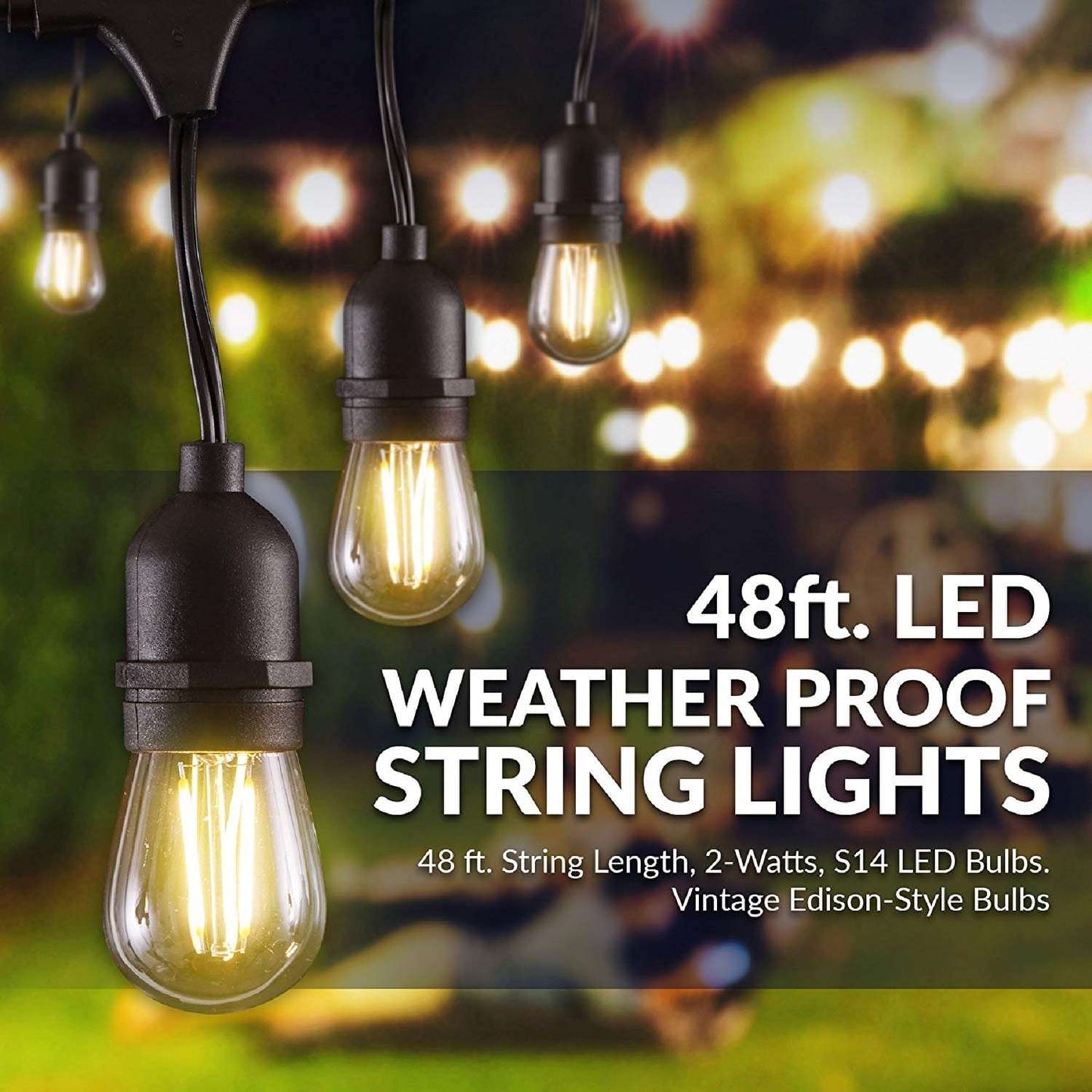  Newhouse Lighting LED Cottage,Farmhouse,Industrial LED Light String Clear 48 Ft. 16 Lights