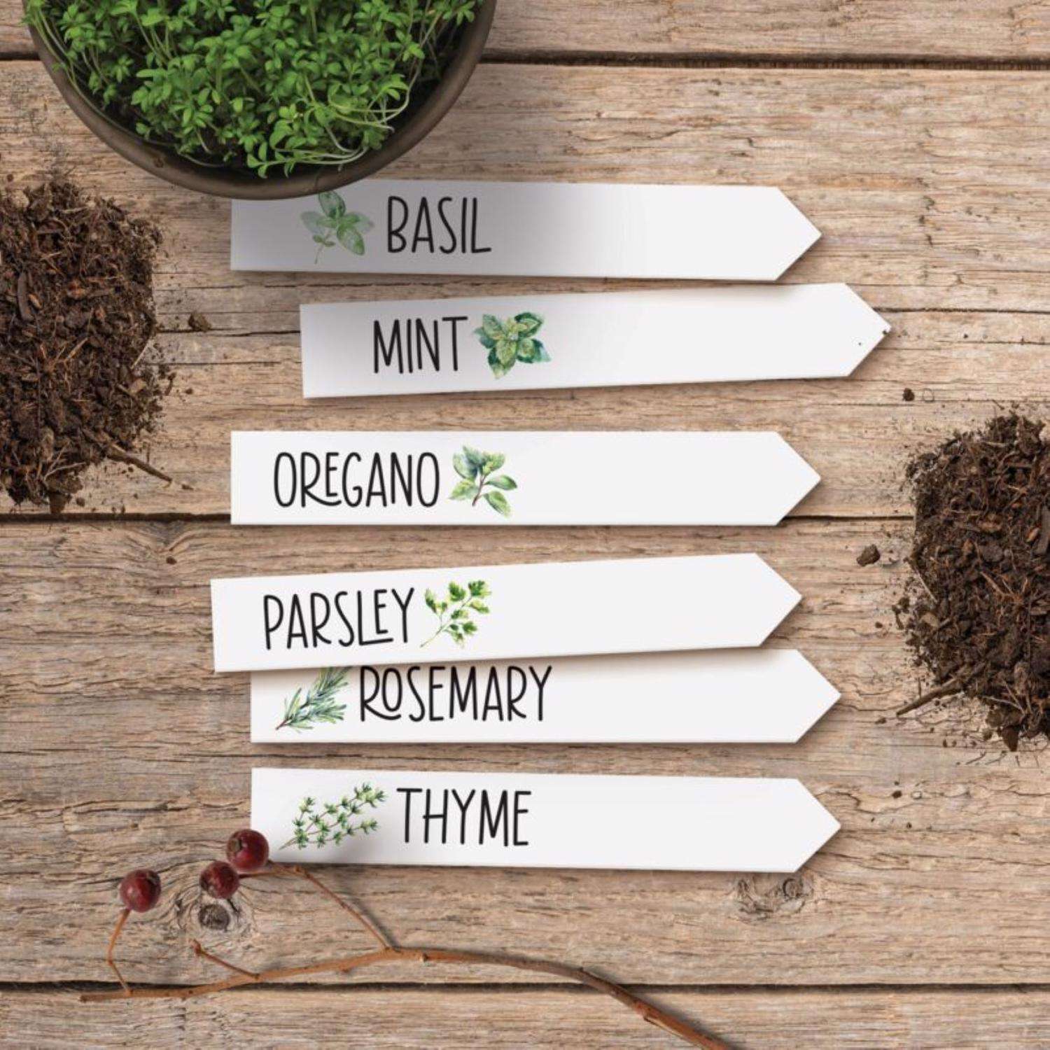  P Graham Dunn White Acrylic 6.5 In. H Herb Stakes Garden Sign