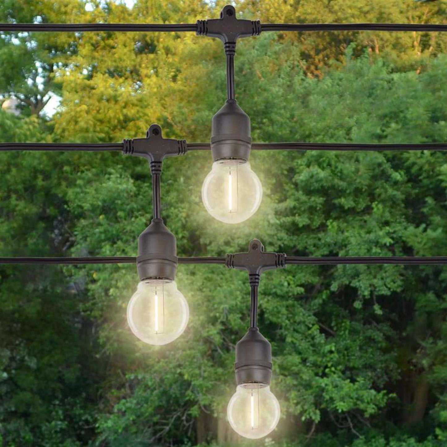  Belle Luci Holiday Bright Lights LED G50 Single Filament Bulbs Warm White 2.5 In. 25 Lights