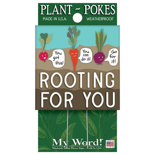  My Word! Multicolored Wood 4 In. H Rooting For You Plant Pokes
