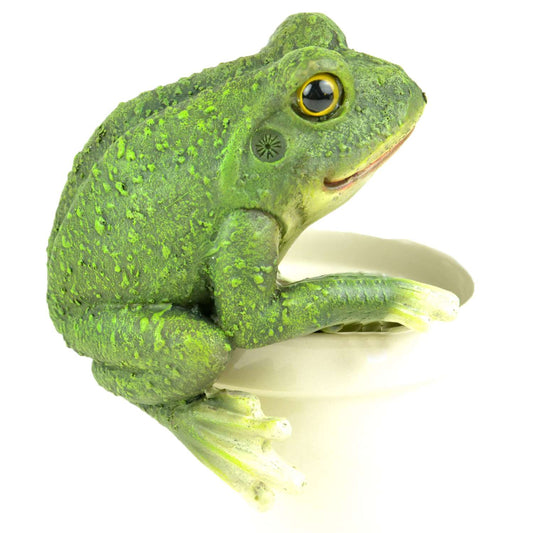  Midwest Design Imports Multicolored Polyresin 5 In. H Frog Pot Hanger Outdoor Decoration