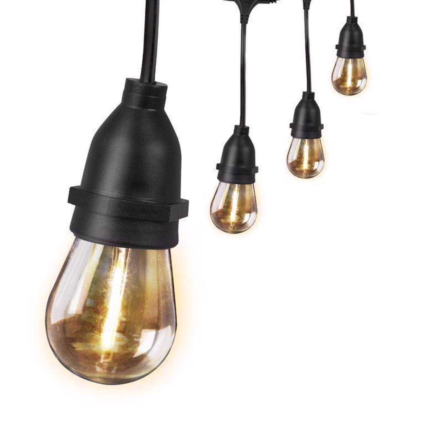  Feit String Lights LED Edison LED Light String Clear 20 Ft. 10 Lights