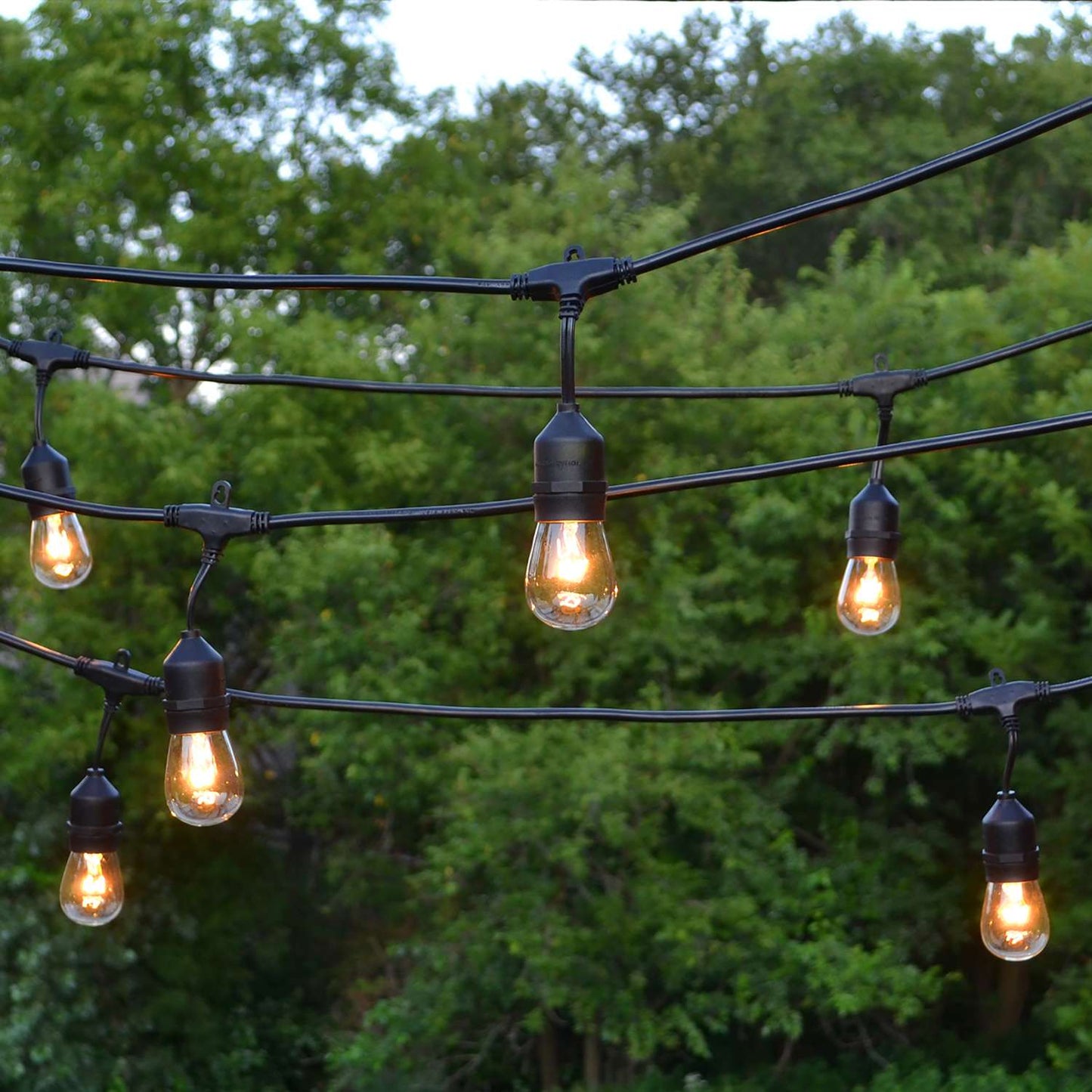  Living Accents Incandescent Vintage S14 Light Set Clear 20 Ft. 10 Lights