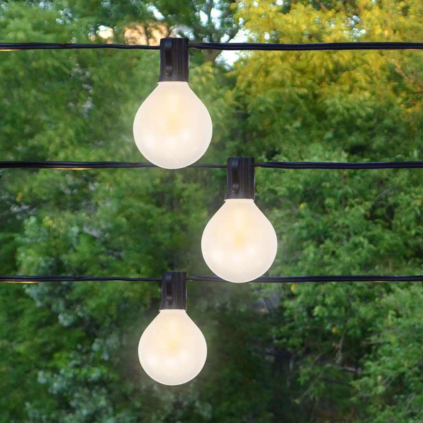  Belle Luci Holiday Bright Lights LED G50 Single Filament Frosted LED Replacement Bulb Warm White 2.5