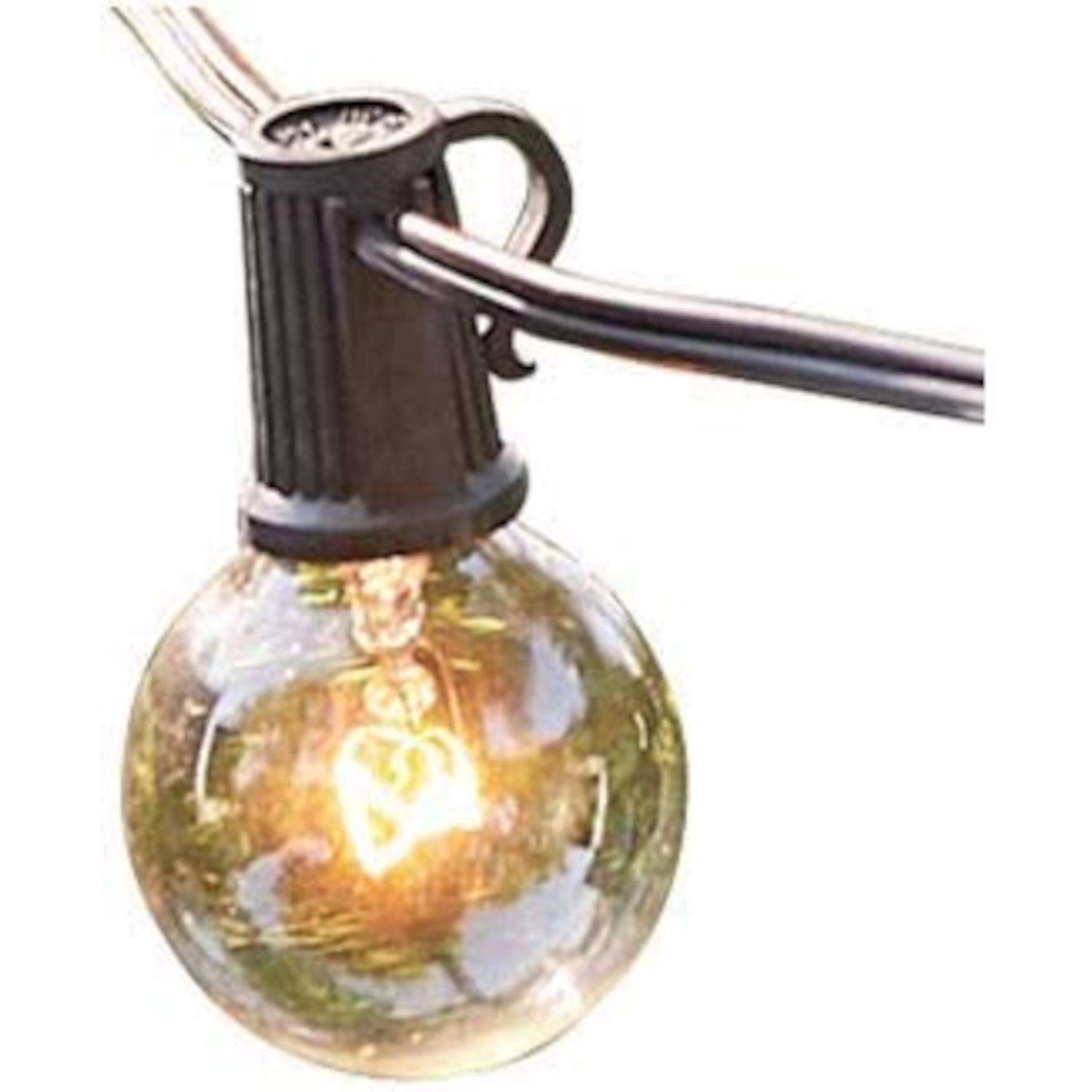Globe Electric Globe-Electric G40 Monaco String Light Set Clear 25 Ft. 25 Lights