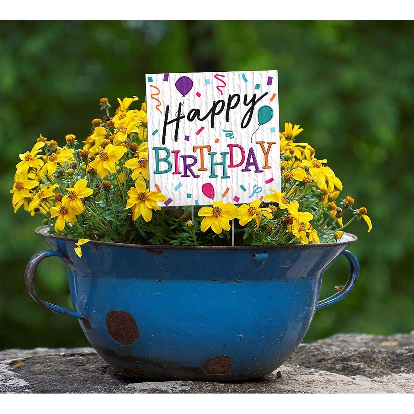  My Word! Multicolored Wood 4 In. H Happy Birthday Plant Pokes