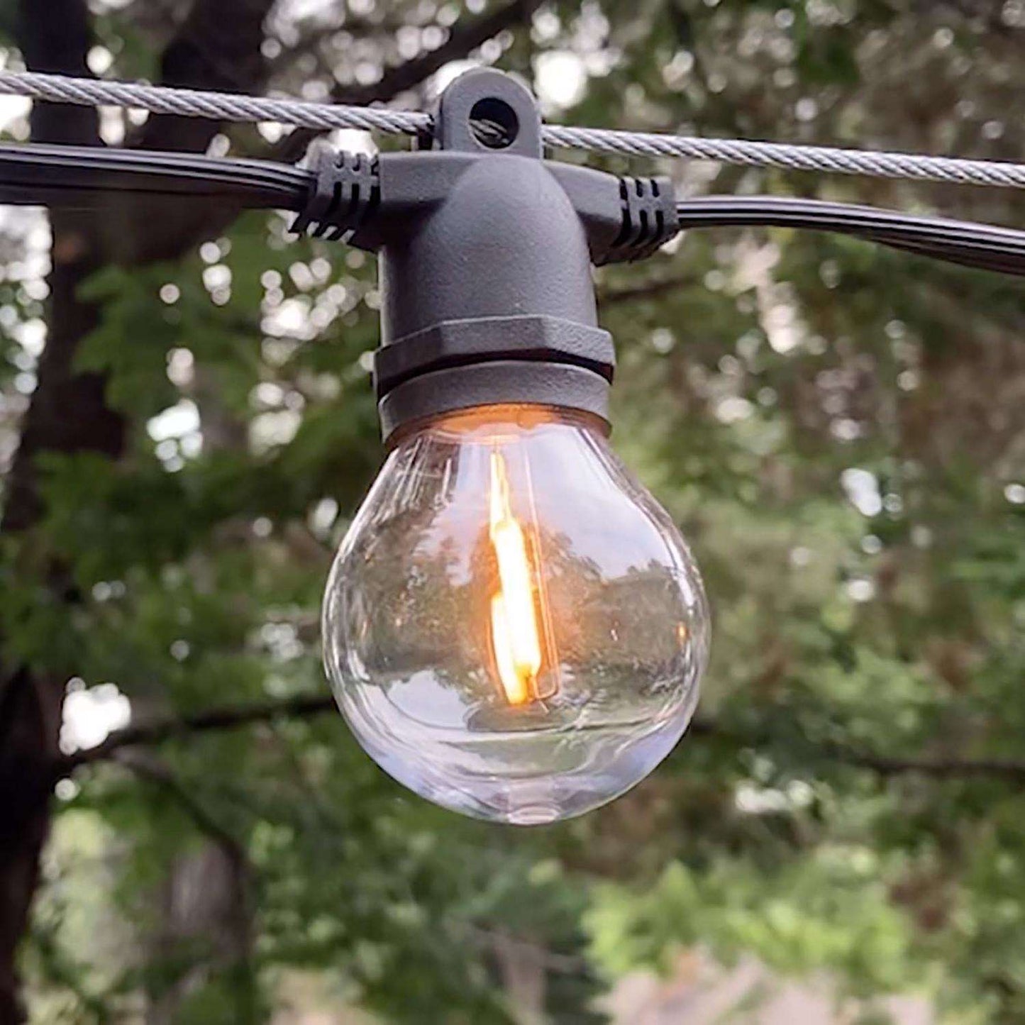  Belle Luci Holiday Bright Lights LED G50 Single Filament Bulbs Warm White 2.5 In. 25 Lights