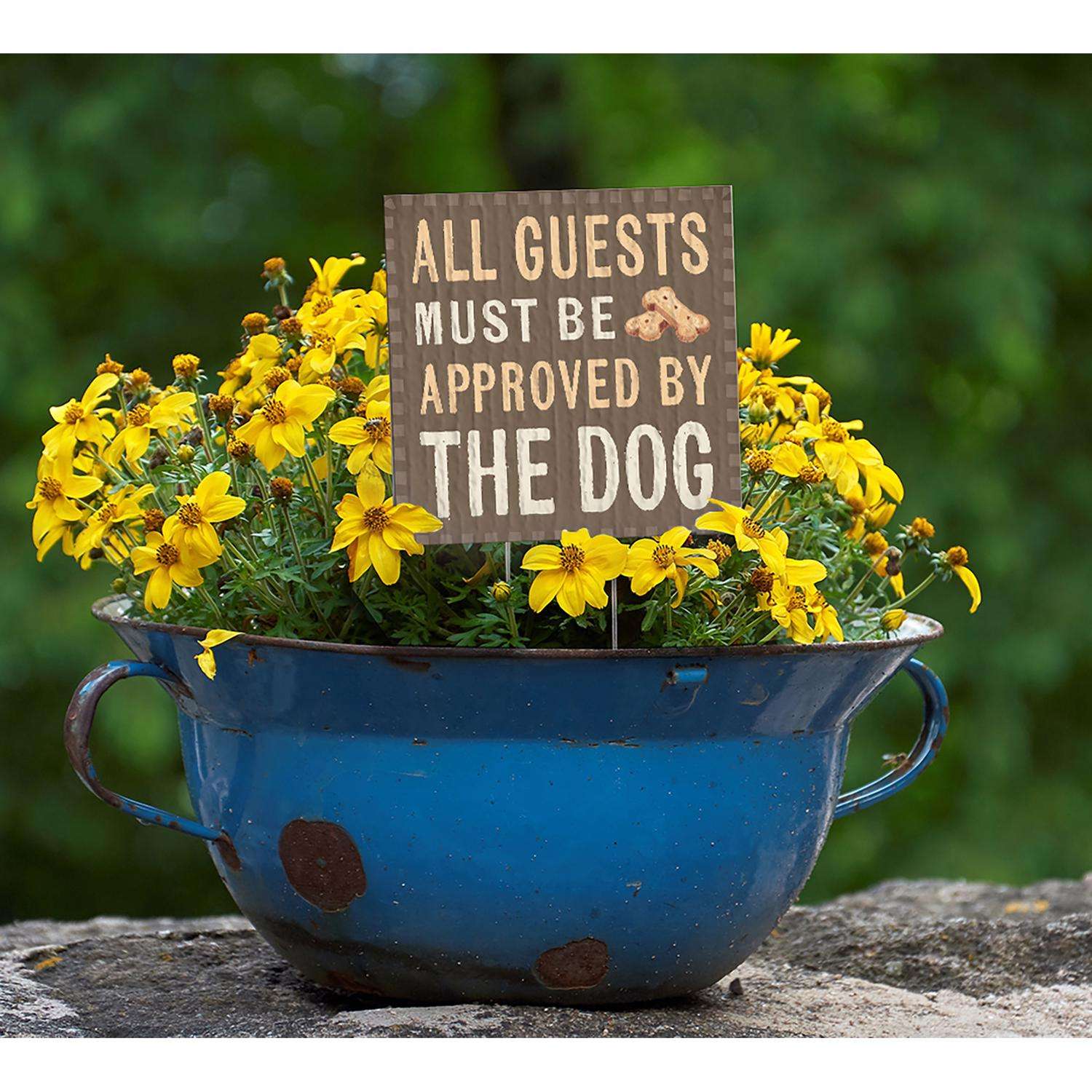  My Word! Multicolored Wood 4 In. H All Guests Must Be Approved By The Dog Plant Pokes