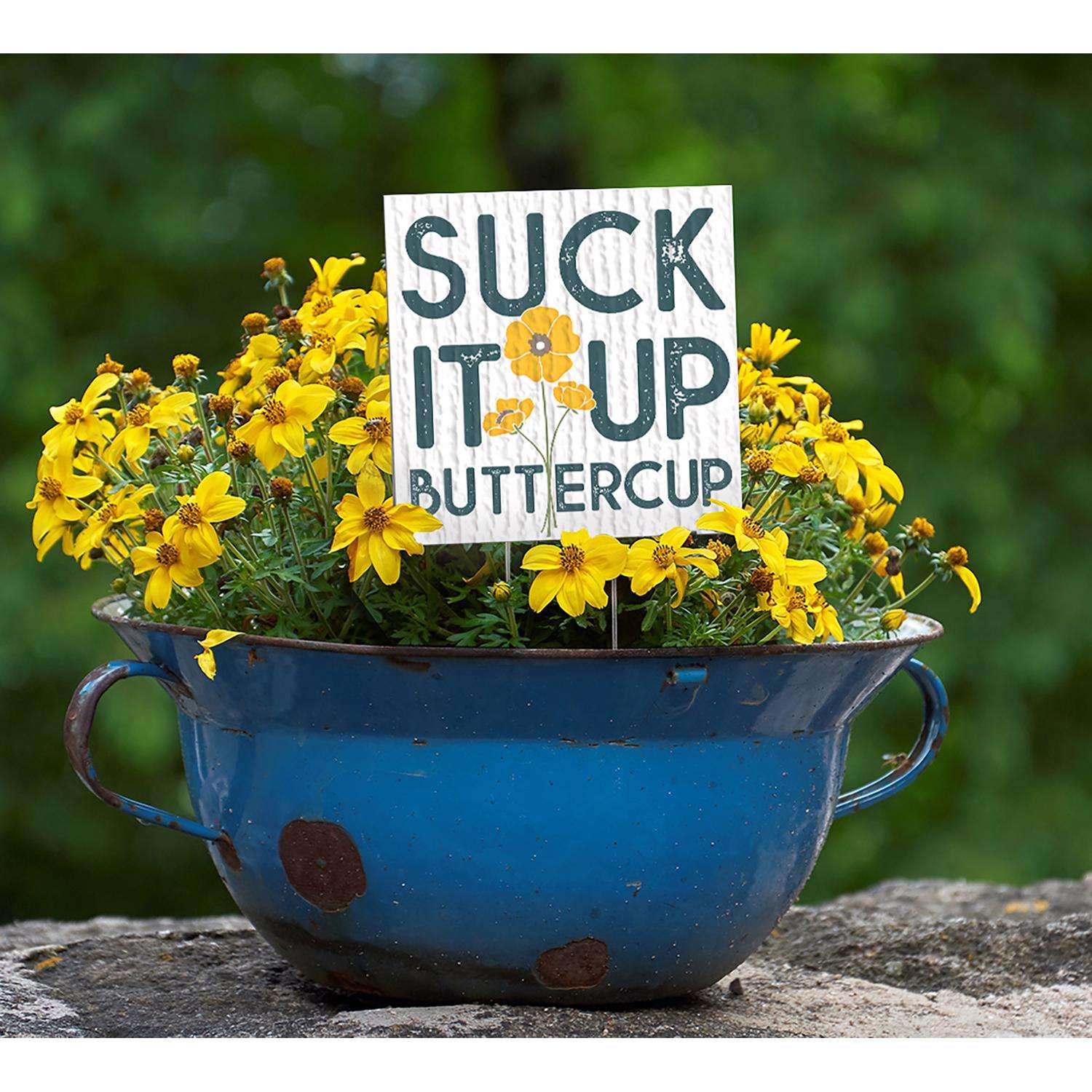  My Word! Multicolored Wood 4 In. H Suck It Up Buttercup Plant Pokes