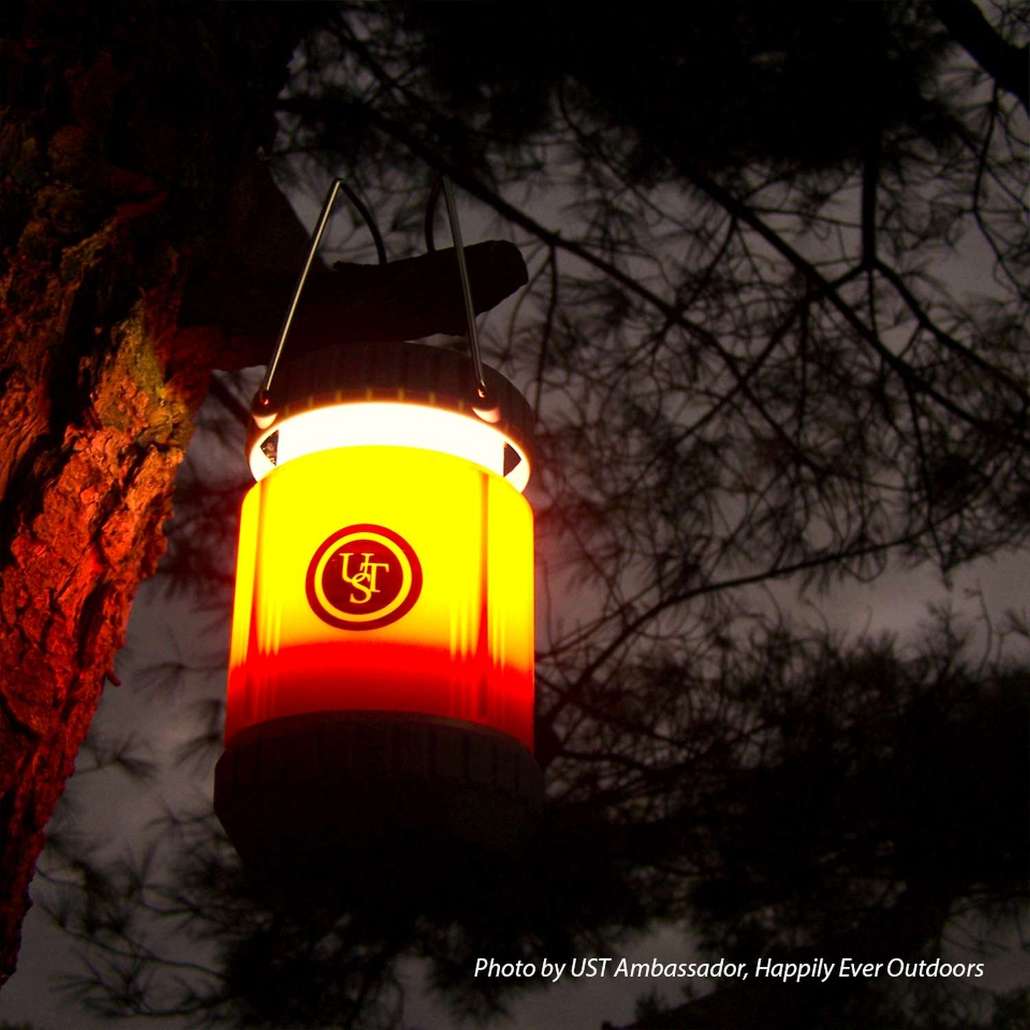  UST Brands 7.3 In. Plastic Lantern Orange