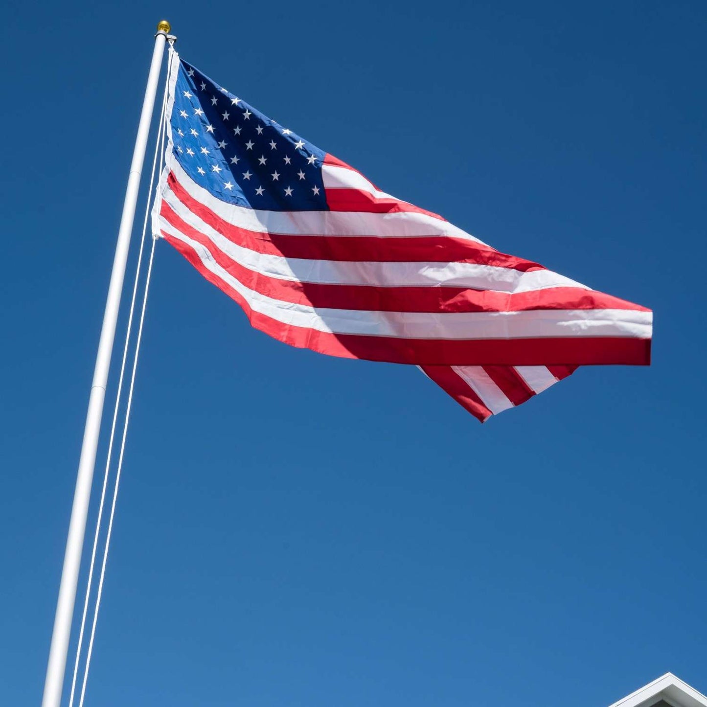  Valley Forge American Flag 60 In. H X 96 In. W