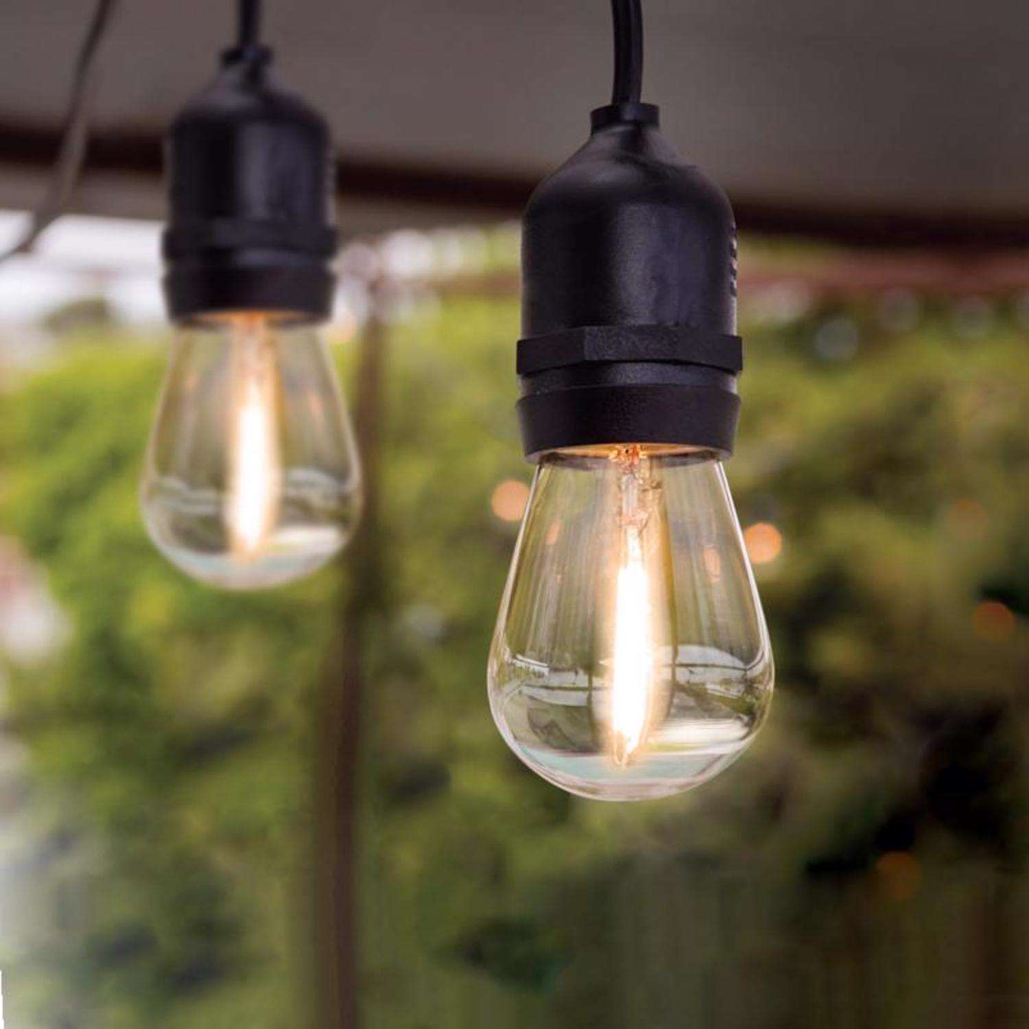  Feit String Lights LED Edison LED Light String Clear 20 Ft. 10 Lights