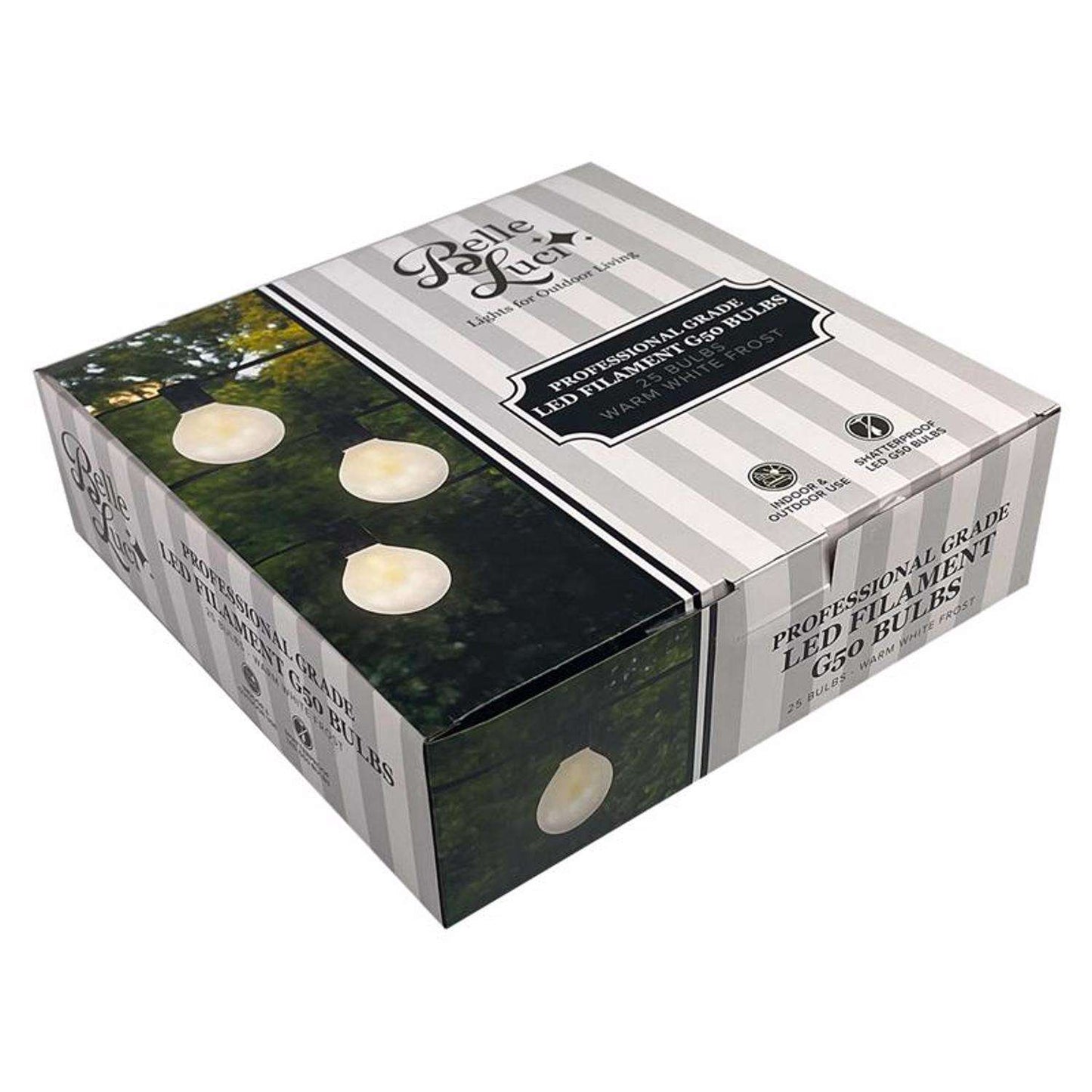  Belle Luci Holiday Bright Lights LED G50 Single Filament Frosted LED Replacement Bulb Warm White 2.5