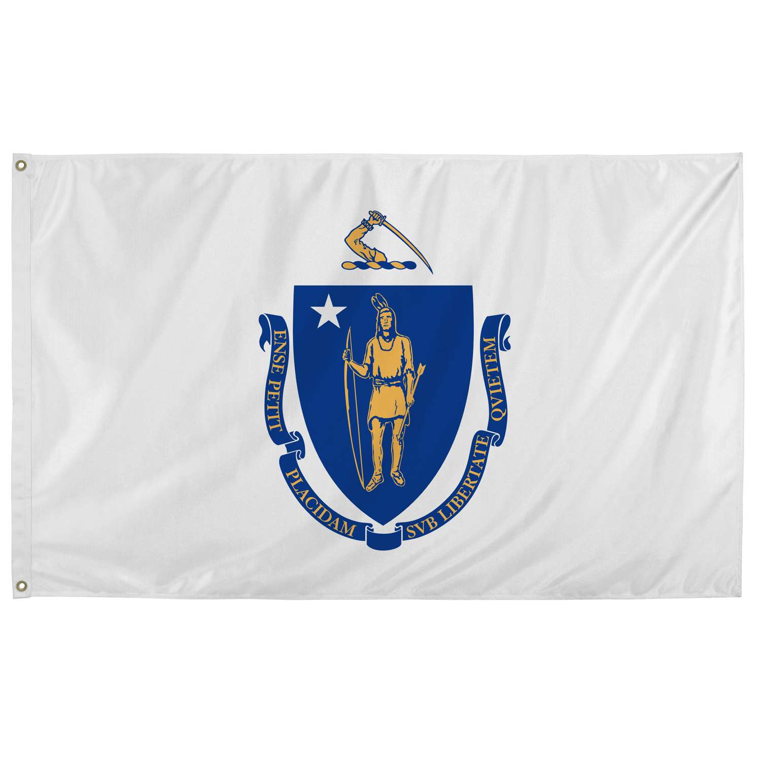  Valley Forge Massachussets State Flag 36 In. H X 60 In. W