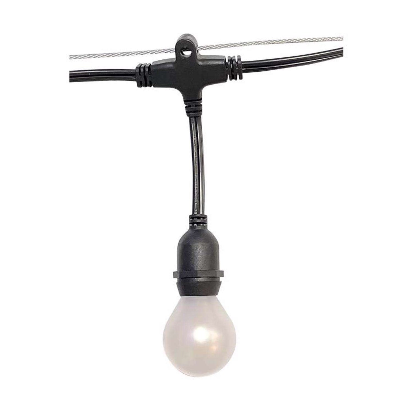  Belle Luci Holiday Bright Lights LED G50 Single Filament Frosted LED Replacement Bulb Warm White 2.5