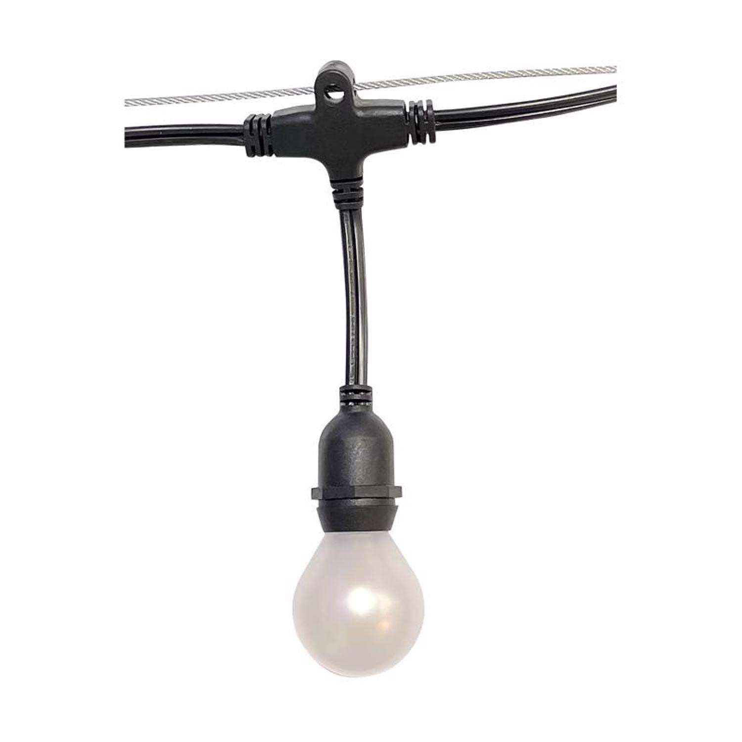  Belle Luci Holiday Bright Lights LED G50 Single Filament Frosted LED Replacement Bulb Warm White 2.5