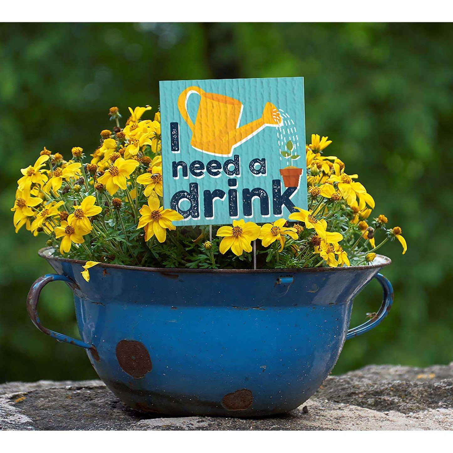  My Word! Multicolored Wood 4 In. H I Need A Drink Plant Pokes