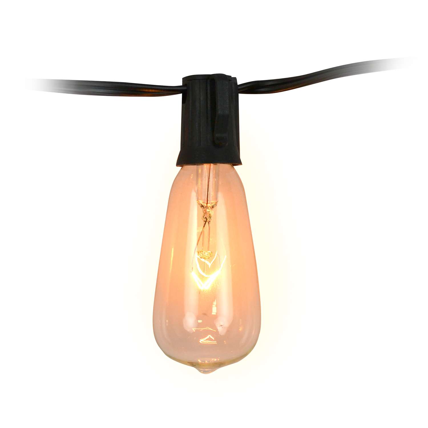  Living Accents Incandescent ST40 Edison Light Set Clear 10 Ft. 10 Lights
