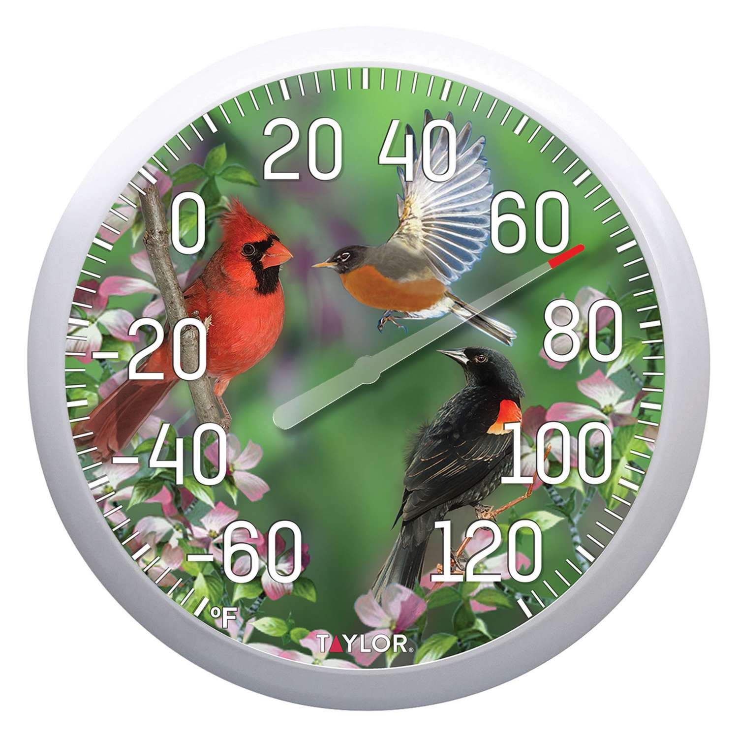  Taylor Dial Thermometer Plastic Multicolored 13.25 In.