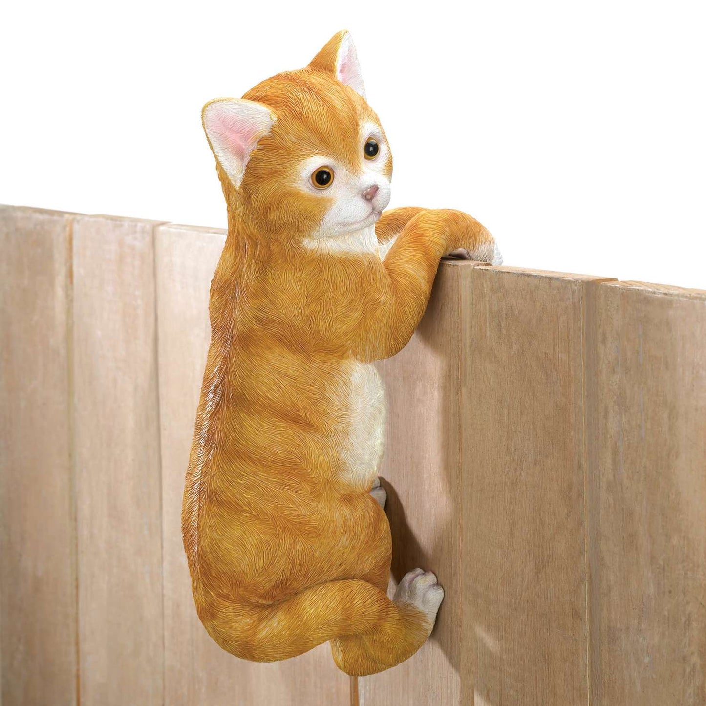  Summerfield Terrace Orange Polyresin 11.25 In. H Hanging Buddy Cat Indoor/Outdoor Decoration