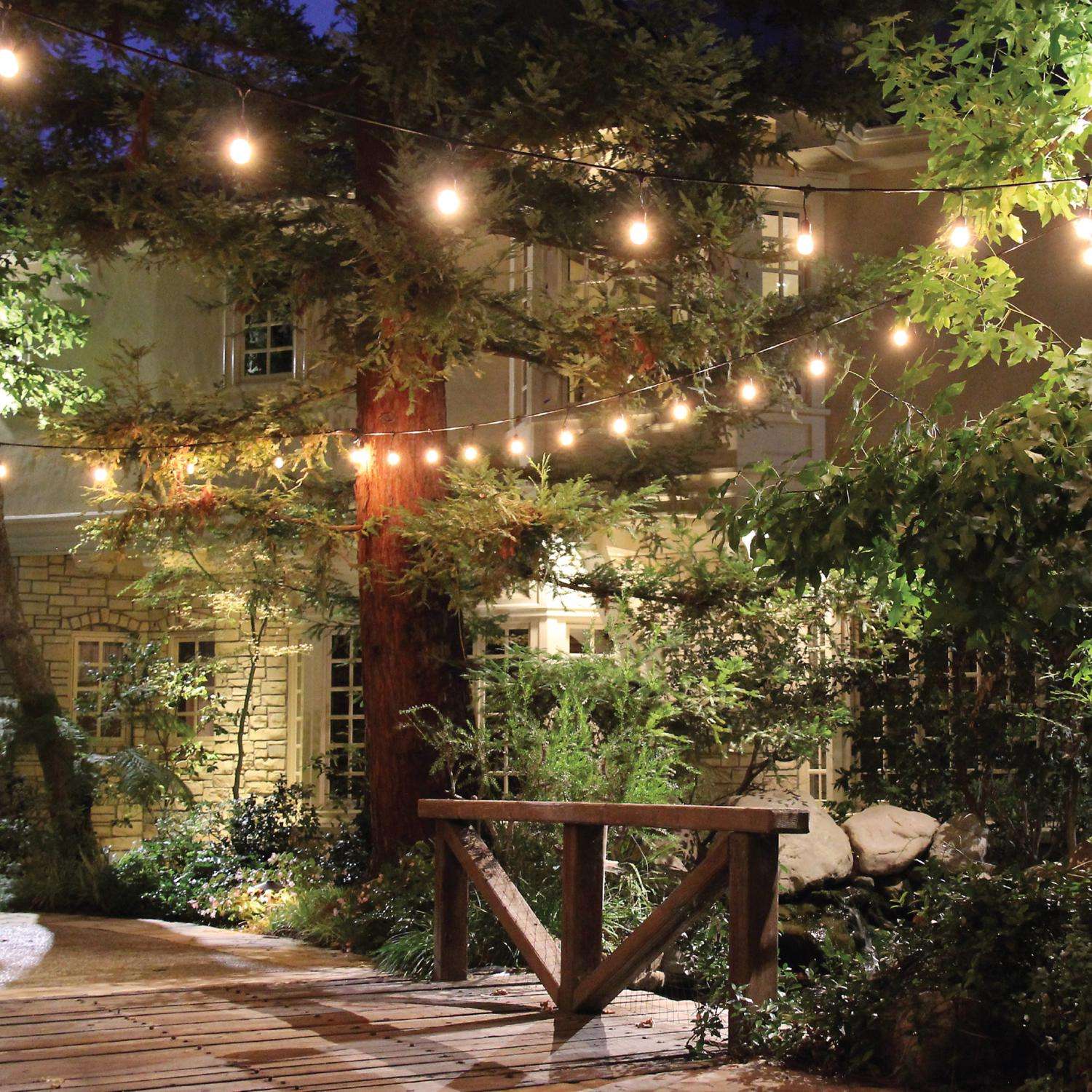  Feit String Lights LED Mix N Match Socket String Light Strand Clear 10 Ft. 5 Lights
