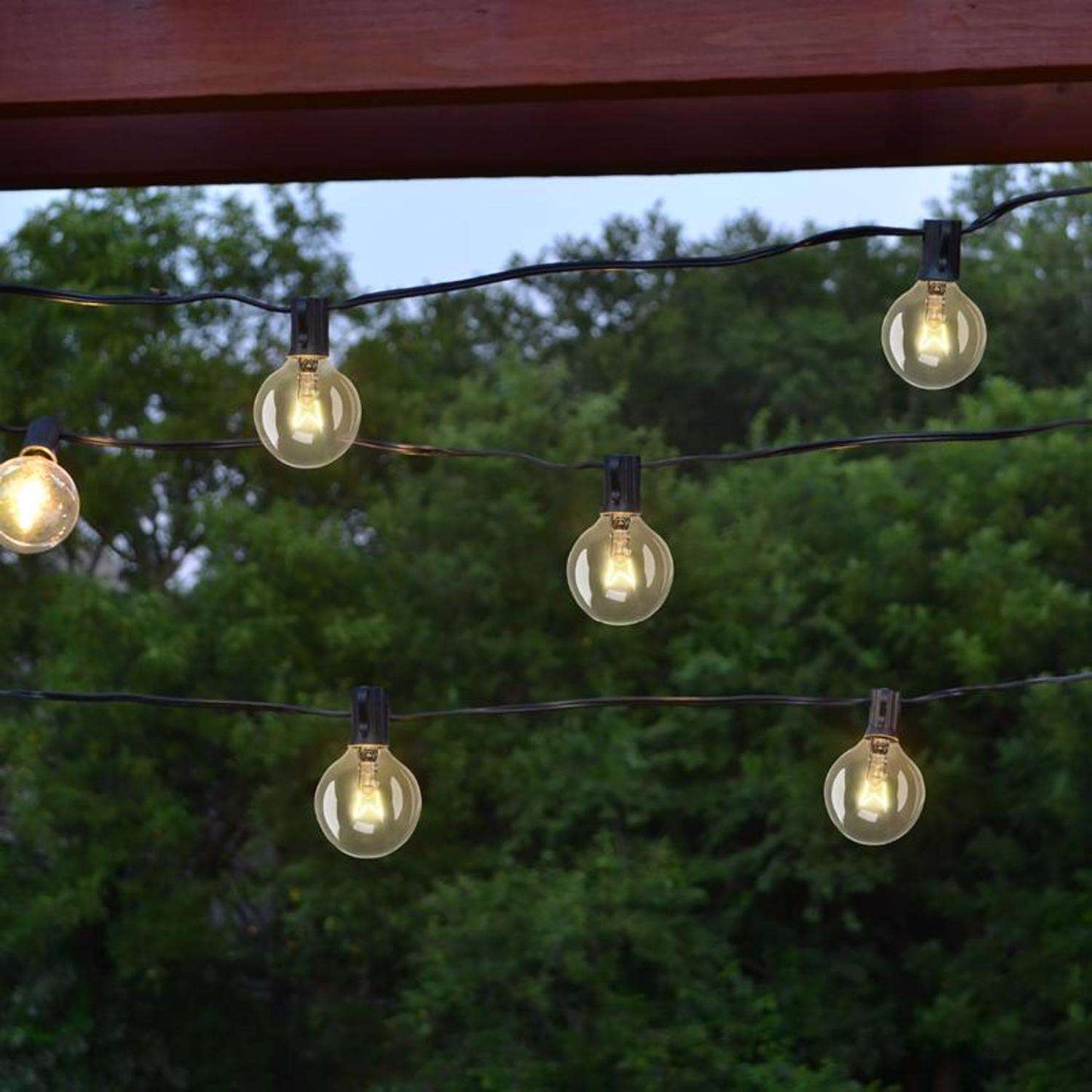 Living Accents Incandescent G40 Light Set Clear 10 Ft. 20 Lights
